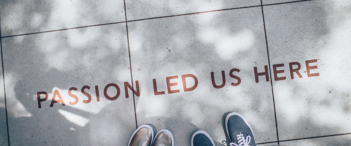 ian-schneider-TamMbr4okv4-unsplash ian-schneider-TamMbr4okv4-unsplash